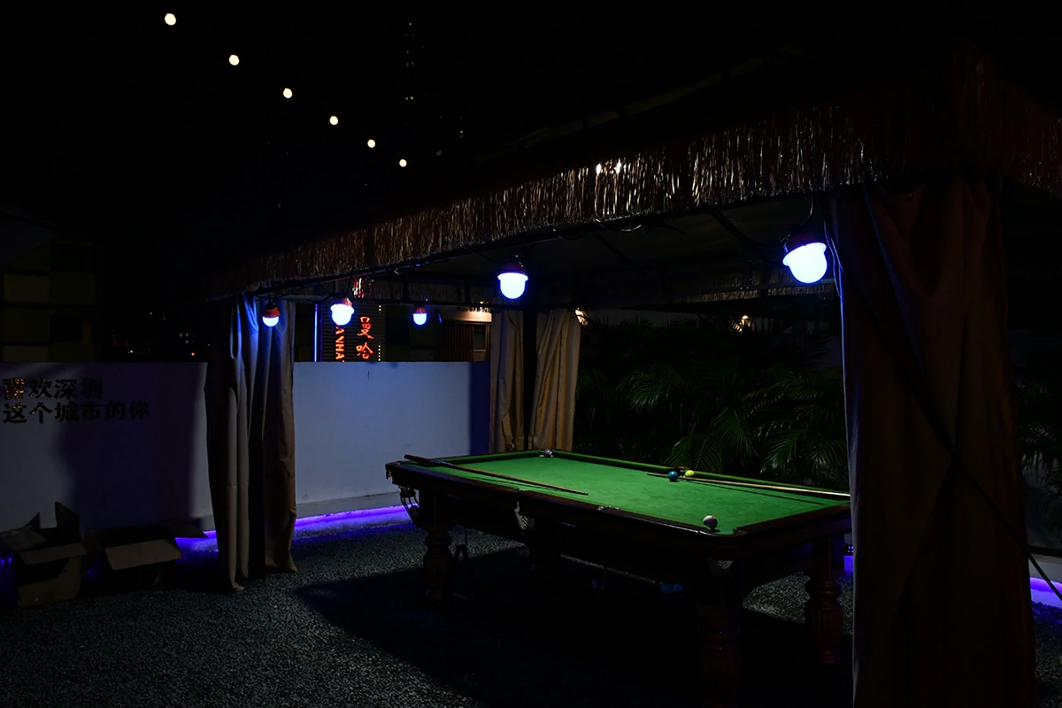 Garden path illuminated by YouLumi HA11 RGB Cage String Lights