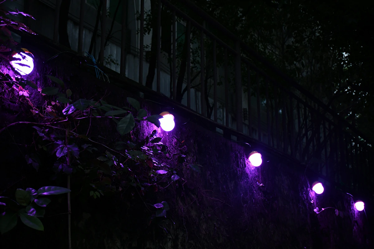 Event space decorated with YouLumi HA11 RGB Cage String Lights